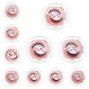 with Spare Tape Glue Free False Eyelashes Long Lasting False Eyelash Clusters  Makeup Tools