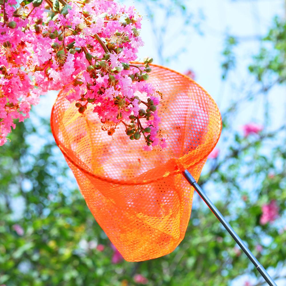 Lightweight Dragonfly Extendable Telescopic Butterfly Net Insect Catch Mesh Kids Fishing Net
