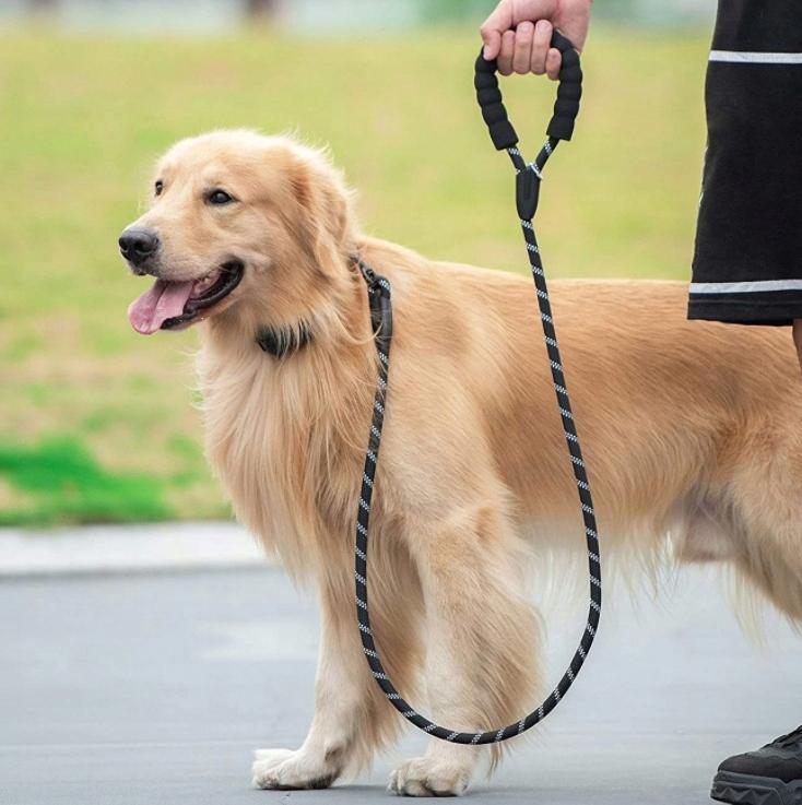 5-Meter Reflective Training Leash, Thick For Dogs