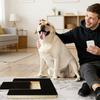 35x25cm Dog Nail Scratch Board Pull-Out Wooden Pet Nail Trim Pad With Built-in Treat Box Sandpaper Scratcher Toy  Grooming Train