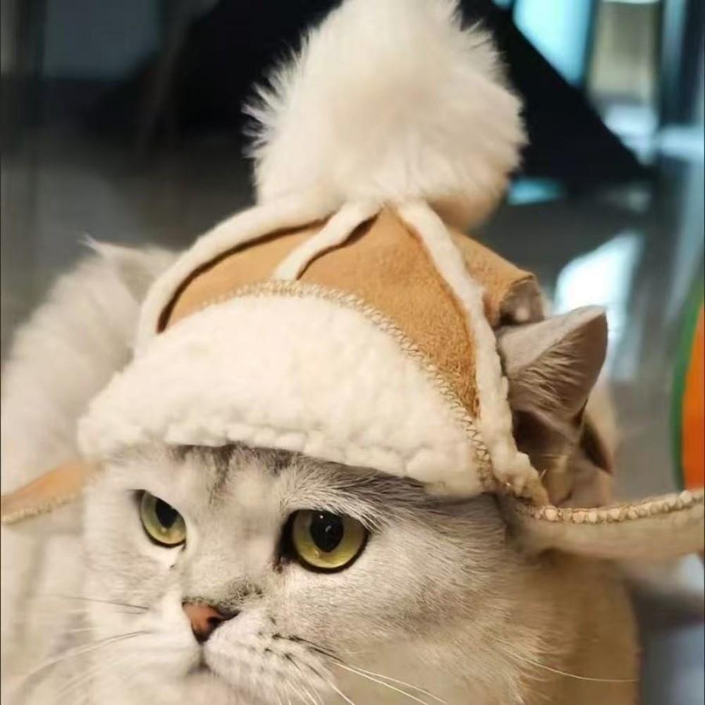 Warm Cat Flying Hat Lamb Fur Windproof Dog Cap Fashion Fluffy Dog Hat  Outdoor Activities