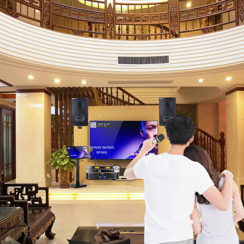 Songchuan International SP101 Home KTV Professional Audio System CN plug (adapter included)