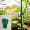 13 cm Plastikowy Klips do Roślin Regulowany i Wielokrotnego Użytku Użyj do Roślin Pnących Drzew Ogrodowych Wspierania Łodyg Winorośli i Pomidorów