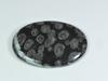 AA++ 55Cts.Natural Black Fossil Coral Oval Cabochon Loose Gemstone 28X41X5MM ET-301