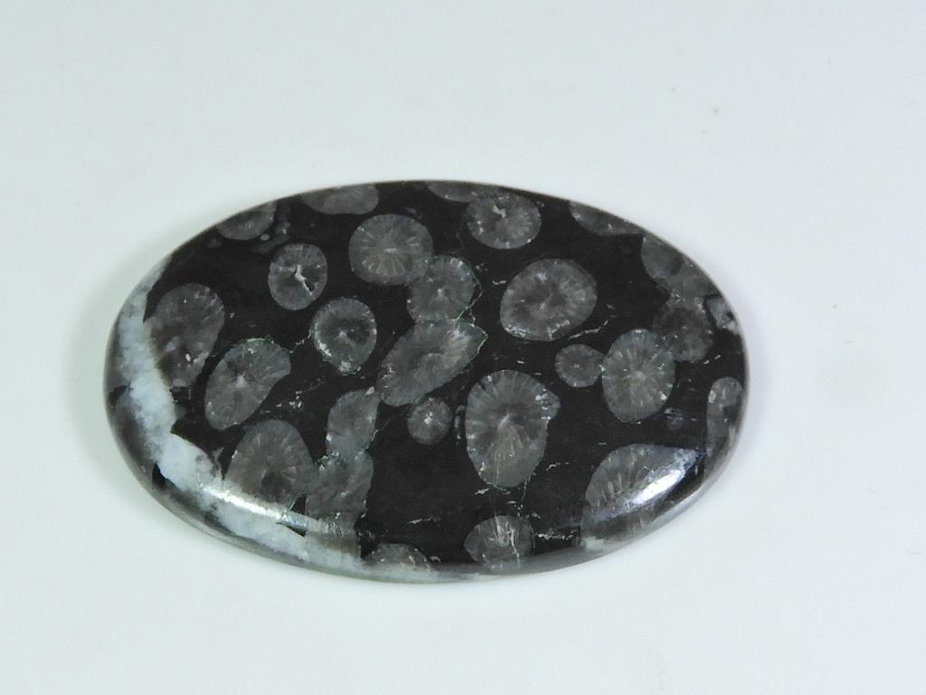 AA++ 55Cts.Natural Black Fossil Coral Oval Cabochon Loose Gemstone 28X41X5MM ET-301