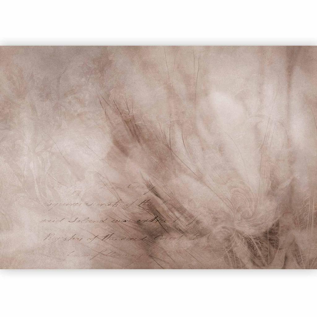 Fototapeta - Abstrakcja Scandi Boho - Delikatna Kompozycja Z Napisami I Kwiatami