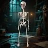Décoration Squelette d'Halloween Effrayante avec Articulations Articulées pour Maison Hantée Fête à Thème Gothique Décoration de Maison