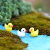 5 stk Resin Duck Model Ornament Miniatyr Hage Sukkulent Bonsai Dukkehus Dekor