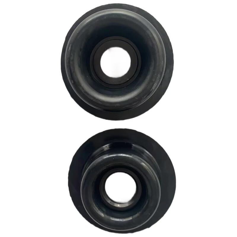 Lijiu Hong Dosing Pump Oil Seal