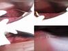 Authentic Cartier Must de Cartier Bordeaux Leather Bifold Long Wallet #a782  Refurbished