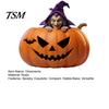 Vintage Halloween Decor Resin Pumpkin Witch Figurine, Spooky Bat Detailed Tabletop Decor, Stable Ornaments Base Mini Statue for Window Showcase