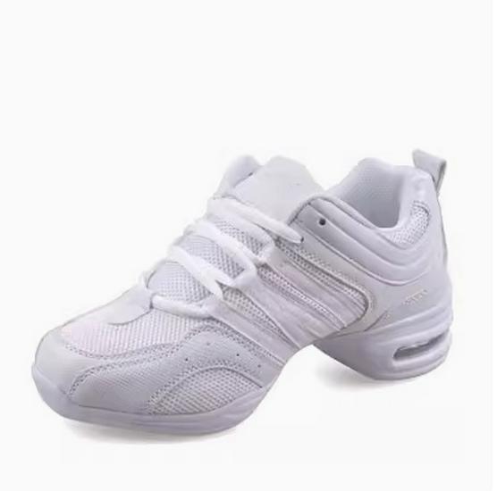 Modern Mesh Soft Sole Jazz Dance Shoes for Adults - All-Season Fitness Footwear