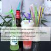 ZISIZ Degradable PLA Art Straws