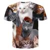 2024 Men/woman High Quality Brand T-shirt Hombre New Men T-shirt Casual Short Sleeve O-neck Fashion Funny Cat Printed 3D T Shirt
