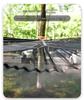 Multi-Person Aerial Tree Tent: Anti-Roll Mesh Outdoor Hammock Swing for Camping
