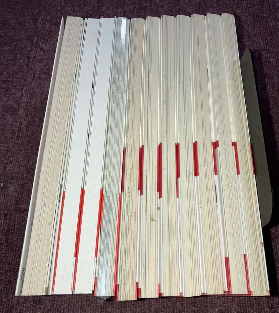 [USED] Chinese Bride Diary: Junichi Inoue's Works