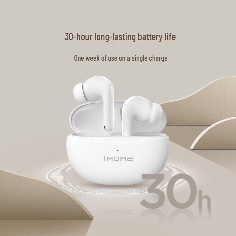 1MORE Q20 True Wireless ANC Earbuds