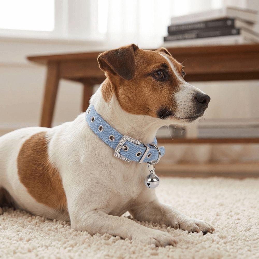 Metal Buckle Denim Dog Collar Soft Leather Adjustable Puppy Jean Collar Quick Release with Bell Anti-lost Cat Necklace