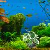 Premium Realistic Fake Aquarium Plants For Fish Tank Decor Safe Plastic Small Aquarium Decorations For Fresh Salt Water
