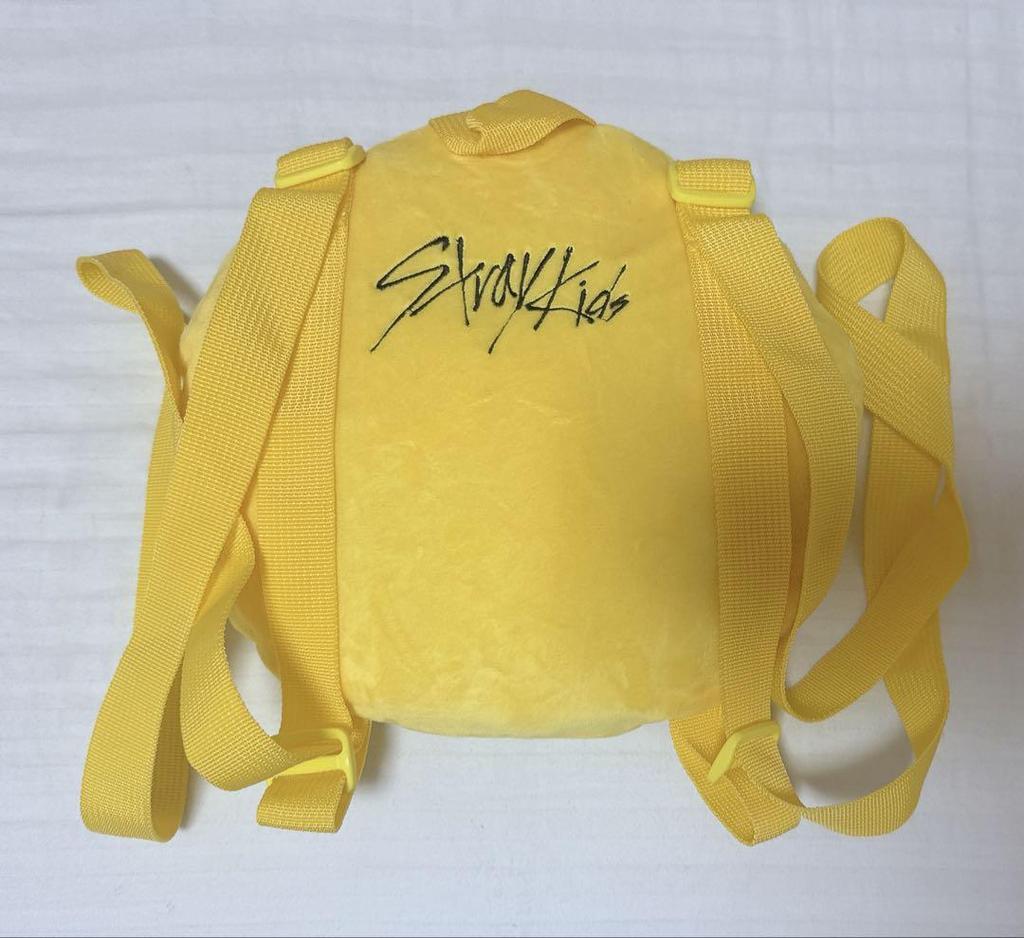 [USED] StrayKids Pogari Backpack