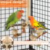 Bird Stand Perch Toy Wooden Parrot Chew Toys 360° Cross Rotatable Parrot Exercise Standing Perch Hanging Bird Cage Accessories
