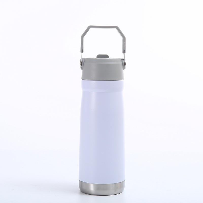 Stainless Steel Vacuum Insulated Travel Mug With Straw Lid 650ml Car Office Gym Outdoor Use