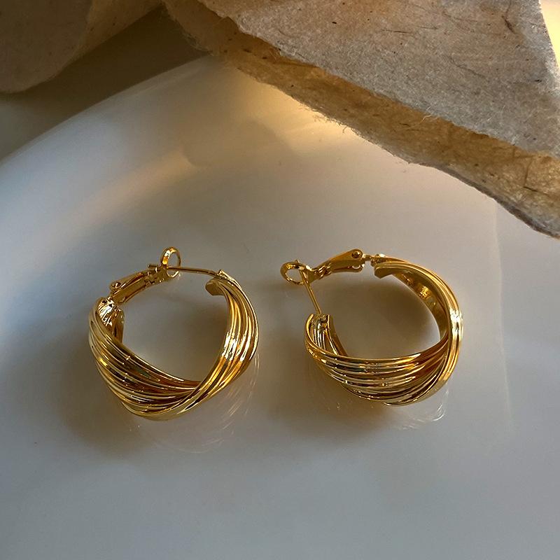 French Ring Earrings for Women, Trendy, Simple, Cool, Fashionable, Fashionable, Earrings, Temperament, Niche, Personalized Ear Accessories