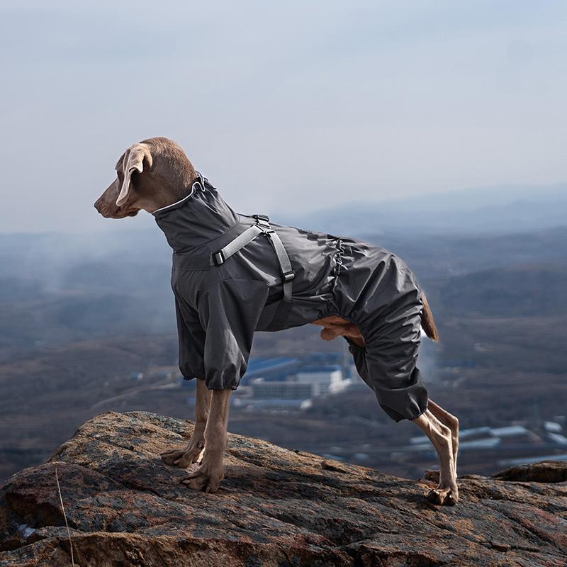 Summer Water Repellent Dog Windbreaker Four Leg Reflective Raincoat With Harness Hole Outdoor Coat For Small Large Dogs