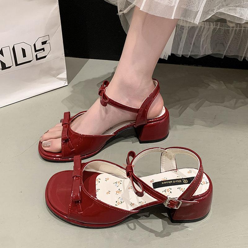 With skirt versatile fairy style sandals women's 2025 new summer small French thick high-heeled sandals women