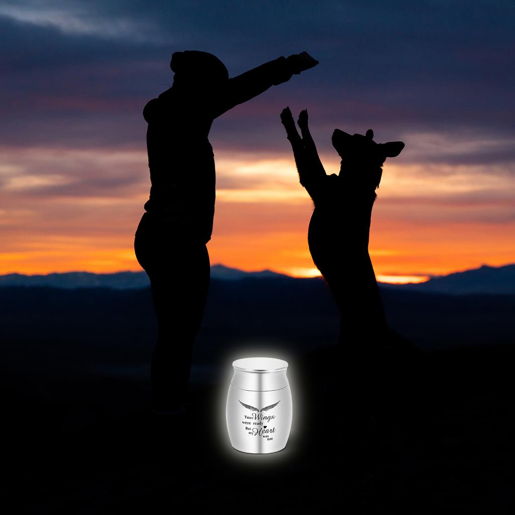 Kleine Kremationsurne für Tierasche Haustier-Erinnerungsurne Edelstahl Gedenk-Erinnerungsurnen für Hunde Katzen Aschenbehälter