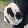 36CM New Stuffed Animal Backpack Cute Plush Panda Crossbody Bag Flower Cute Panda Backpacks Soft High-capacity Plush Schoolbags