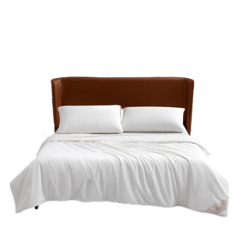 Mercury Home Textiles Ganzbaumwolle Antibakterielle Maulbeerseiden-Bettdecke