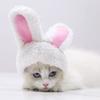 Cute Warm Shu Cotton Lint Small and Medium-sized Dog Dog Cat Pet White Rabbit Hat Headgear Autumn and Winter