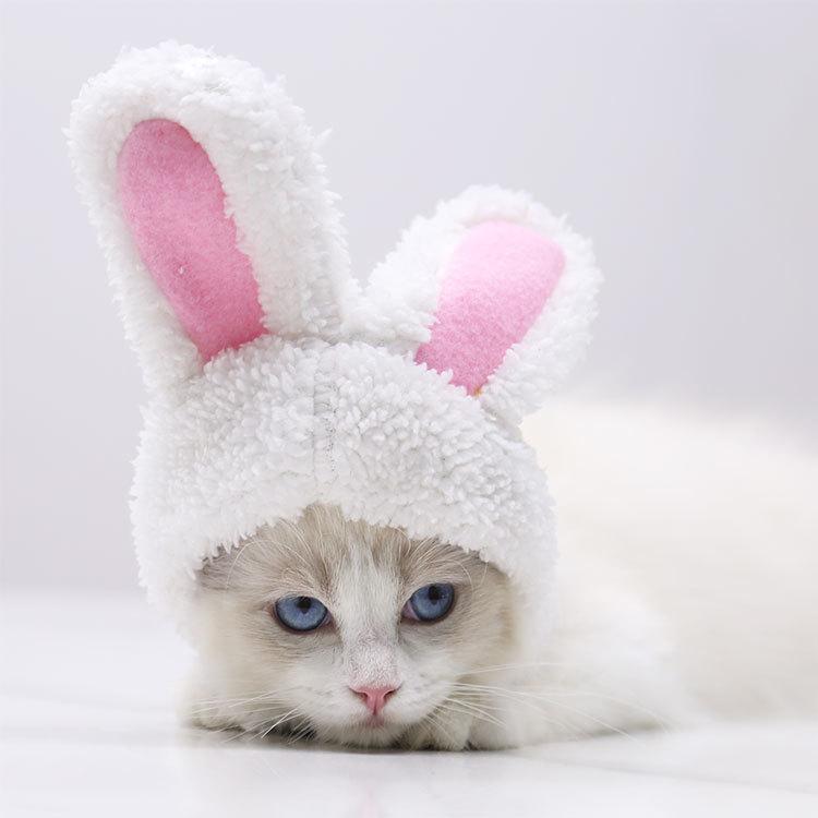 Cute Warm Shu Cotton Lint Small and Medium-sized Dog Dog Cat Pet White Rabbit Hat Headgear Autumn and Winter