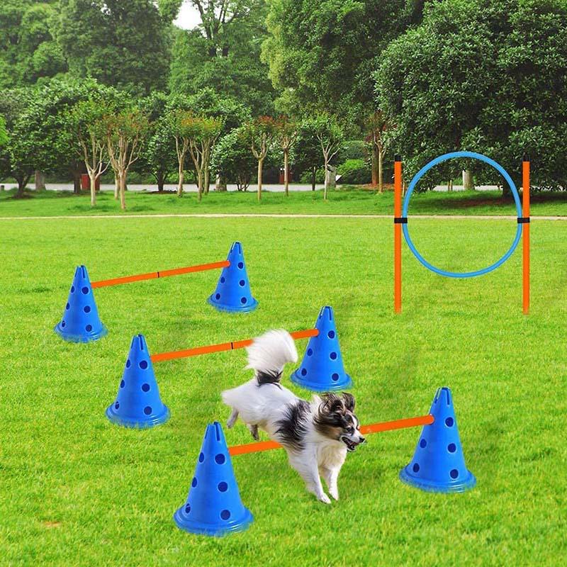Hunde Agility Trainingsset: Sprungring, Stange und Webstangen