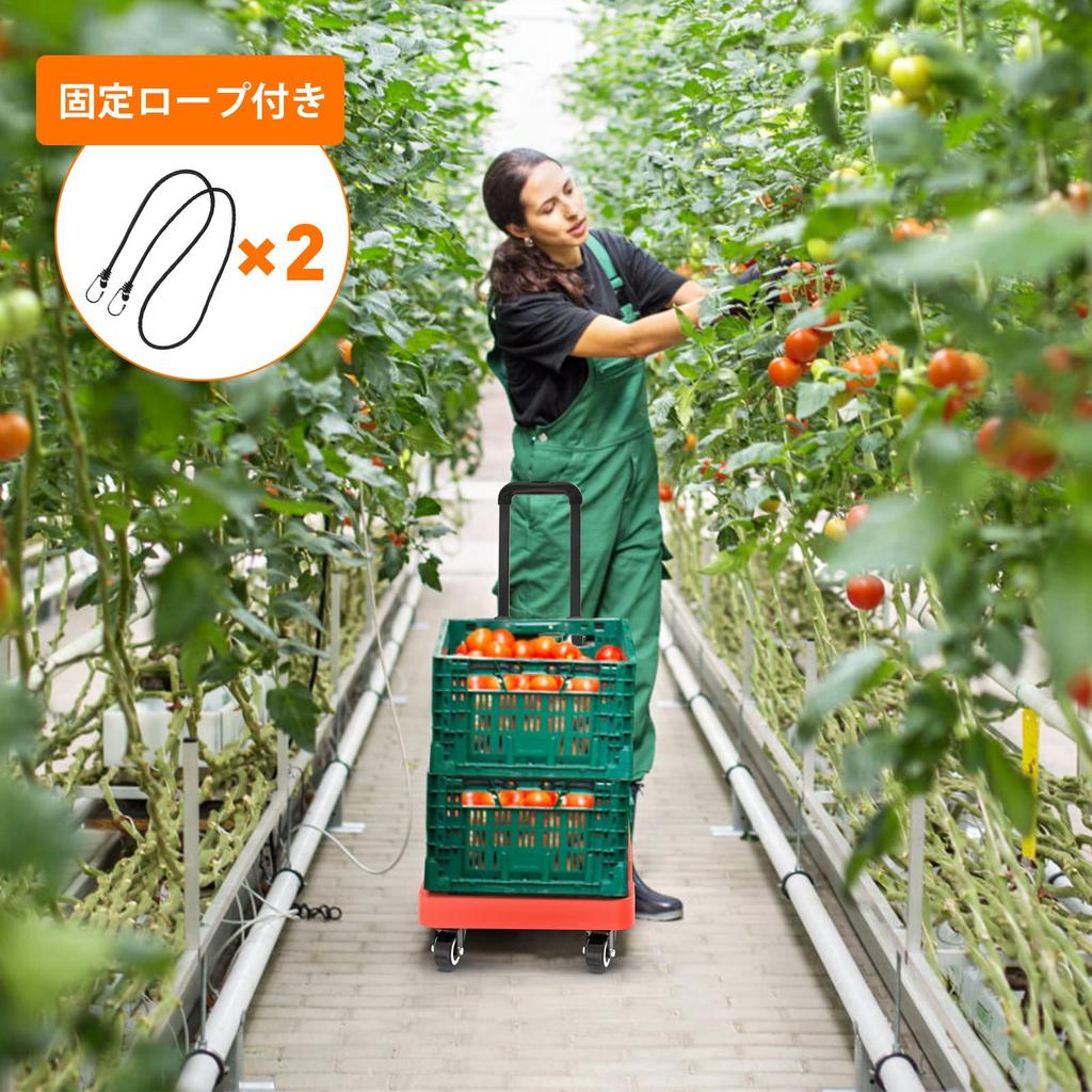 SPACEKEEPER Tragbar Faltbar Belastbarkeit Hand Teleskopisch Beladen mit Feststehend Leicht zu Tragen Orange Wagen, Dolly, 200KG, Leichtgewicht, Leise, Klein,