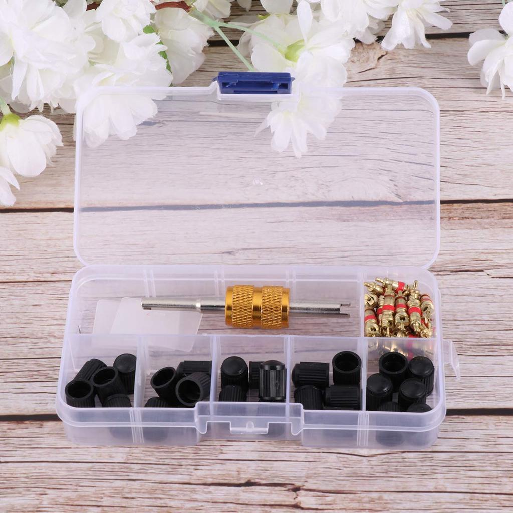 VORCOOL Tire Valve Core, Air Valve, Insect Turner, Tire Repair Tool, 61-Piece Set, Valve, Motorcycle, Bicycle, Tire Tool, Repair