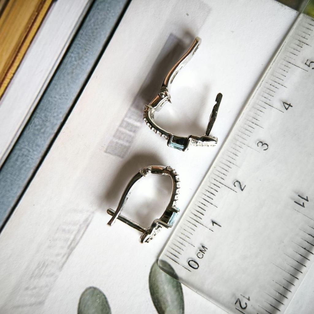 Silver Earrings with London Blue Topaz 0.638ct (2188704)