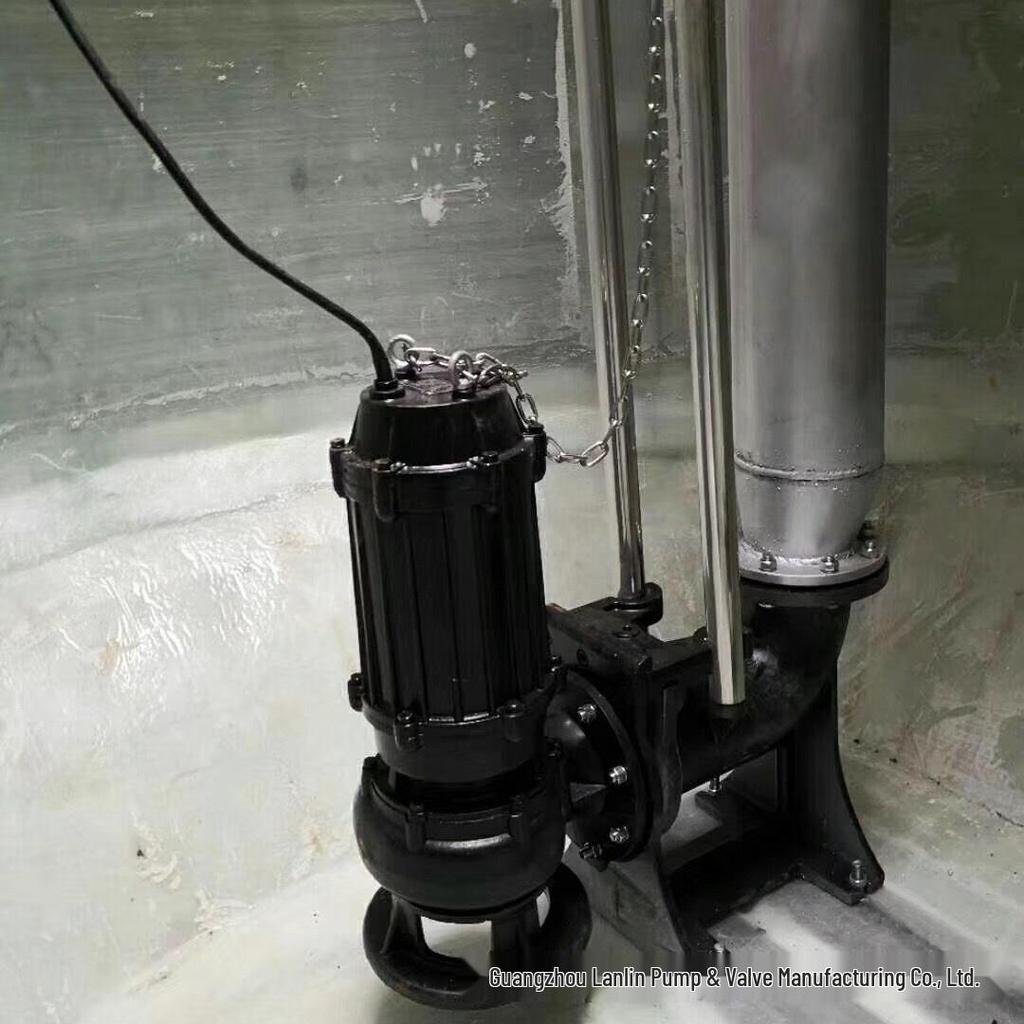 100WQ100-30 15kW Submersible Electric Pump for Sewage & Sludge