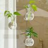 1/2/3/4/6/8Pcs Window Propagation Station Plant Propagation Glass Bulb with Suction Cup Transparent Planter Propagation Planter Terrarium Vase