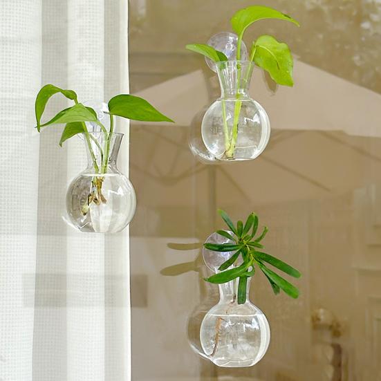 1/2/3/4/6/8Pcs Window Propagation Station Plant Propagation Glass Bulb with Suction Cup Transparent Planter Propagation Planter Terrarium Vase