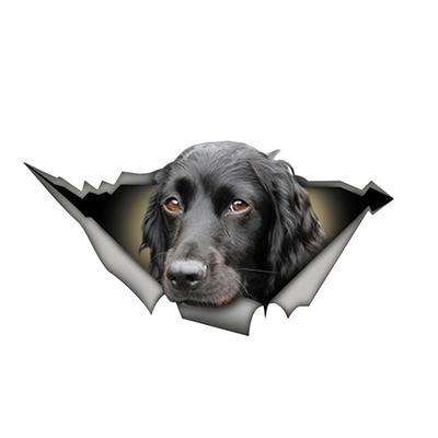 Pegatinas de Personalidad para Coche 3D Perro Animal Mascota Calcomanía Impermeable Llamativa Ventana Rota Calcomanía Mascota