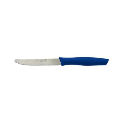 Arcos Nova 188823 Table Knife Made of Nitrum Stainless Steel and Polypropylene Handle, 11 Cm Blue Blade with Cover and