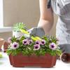 6Pcs Plastic Bonsai Planter Pots Drainage Hole Small Flower Pots Indoor Outdoor Balcony Garden Decorative Planter