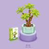 Educational Small Particles Mosaic Building Block Flower Simulation Tang Yin Succulent Potted Plant Compatible With A High Building Block Model Toy