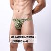 Bikini Bikini Briefs Underwear Shorts Bikini Sexy Underwear Sexy Underwear Leopard Print Animal Low Rise Men's Men's Men's Men's T-back T-back Men's