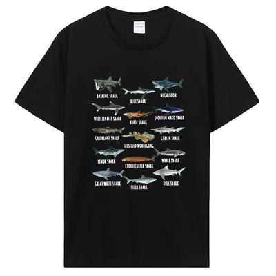Shark Species Biology Different Types Of Sharks T-Shirt Comics Apparel For Kids Adults Tshirt Graphic Tee Tops Gift Clothing