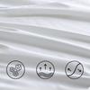 Beauty Salon Bed Sheets with Breathable Holes Thicken Massage Bedsheets Absorb Water Anti Wrinkle Dust-proof Bed Cover