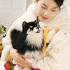 New Cute Chihuahua Dog Plush Toy Puppy Doll