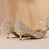 Fashion Bride Wedding Shoe Pointed Toe Shoes for Women Low Heel Elegant Woman Pumps Stilito Fashion Slip on Non Spring Beau Today Dress